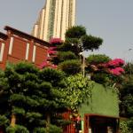 Hong Kong - Nan Lian Garden